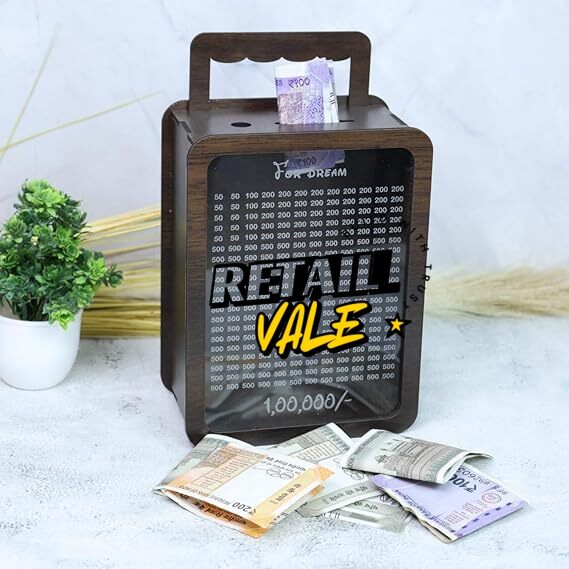 Travel Money Saving Bag with unique design